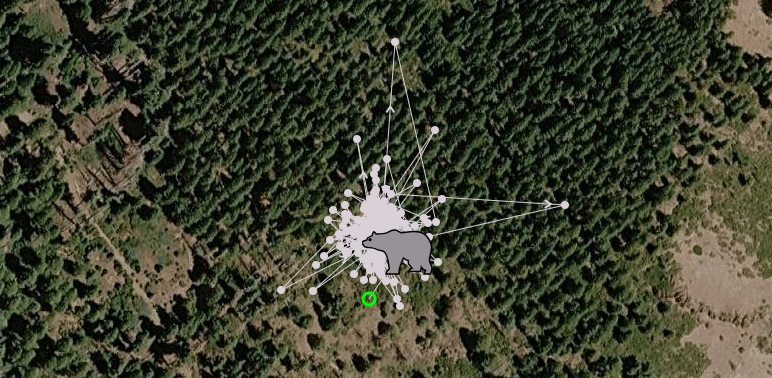 Images/News/ArnoldBearReleaseCluster .jpg